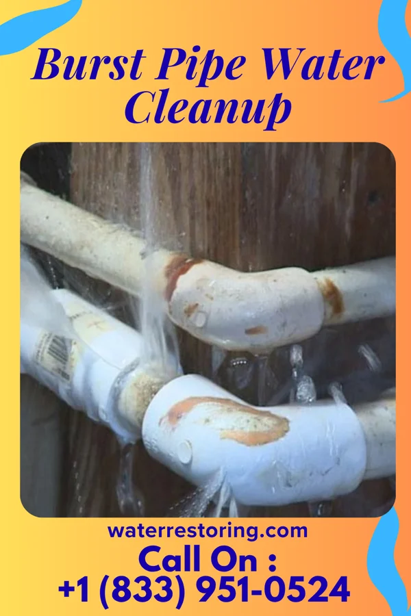 Burst Pipe Water Cleanup in Coshocton, OH