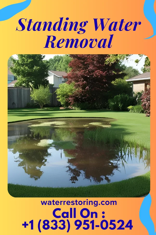 Standing Water Removal in Coshocton, OH